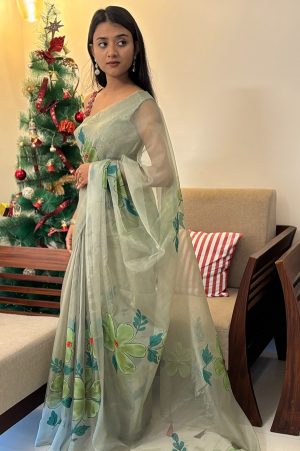 Soft Green Organza Saree with Brush Paint & Embroidery
